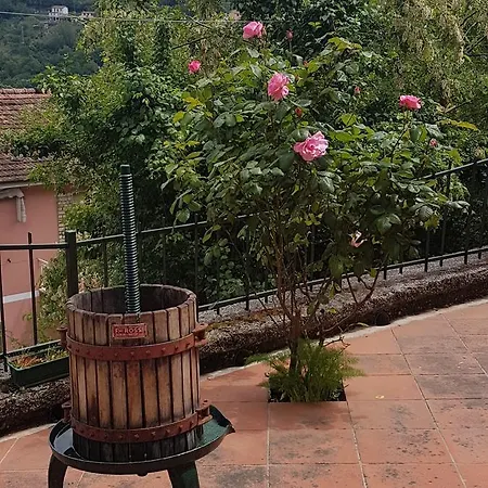 Via Pitelli